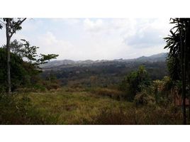  Land for sale in Alajuela, Atenas, Alajuela