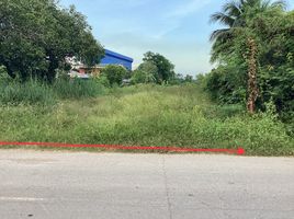  Land for sale in Tan Diao, Kaeng Khoi, Tan Diao