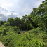  Land for sale in Chumphon, Thung Takhrai, Thung Tako, Chumphon