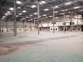  Warehouse for sale in the United Arab Emirates, Jebel Ali, Dubai, United Arab Emirates