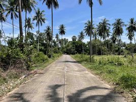  Land for sale in Surat Thani, Lipa Noi, Koh Samui, Surat Thani