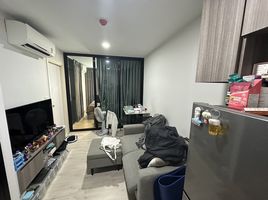 1 Schlafzimmer Appartement zu verkaufen im The Origin Sukhumvit 105, Bang Na, Bang Na