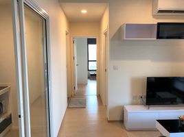 2 Schlafzimmer Wohnung zu verkaufen im The Tree Sukhumvit 71-Ekamai, Suan Luang, Suan Luang