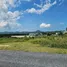  Land for sale in Choeng Thale, Phuket, Choeng Thale, Thalang