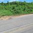  Land for sale in Thalang, Phuket, Pa Khlok, Thalang