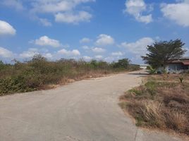  Land for sale in Sisa Thong, Nakhon Chai Si, Sisa Thong