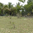  Land for sale in The 3 Eyes National Park, Santo Domingo Este, Distrito Nacional