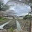  Grundstück zu verkaufen in Sam Phran, Nakhon Pathom, Khlong Mai