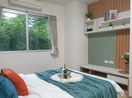 1 Schlafzimmer Wohnung zu vermieten im Chambers On-Nut Station, Bang Chak