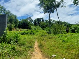  Grundstück zu verkaufen in Thalang, Phuket, Choeng Thale