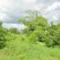  Land for sale in Chong Khae, Nakhon Sawan, Chong Khae, Takhli