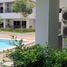 1 Bedroom Apartment for rent at The Terraza Samui, Maret