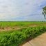  Land for sale in Thep Nakhon, Mueang Kamphaeng Phet, Thep Nakhon