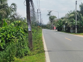  Grundstück zu verkaufen in Thalang, Phuket, Si Sunthon