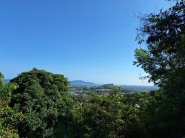  Land for sale in Wichit, Phuket Town, Wichit