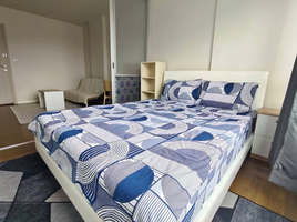 1 Schlafzimmer Wohnung zu vermieten im D Condo Creek, Kathu