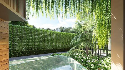 Photos 1 of the Reception / Lobby Area at Serene Condominium Phuket