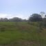  Land for sale in Horconcitos, San Lorenzo, Horconcitos
