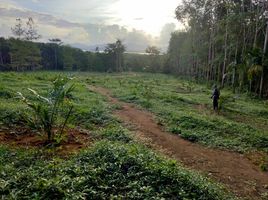  Grundstück zu verkaufen in Mueang Ranong, Ranong, Sai Daeng