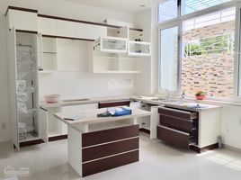 Studio Villa zu verkaufen in Binh Chanh, Ho Chi Minh City, Phong Phu