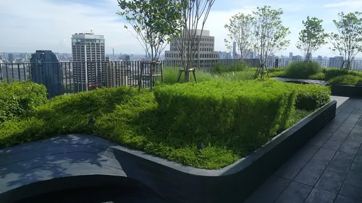 3D视图 of the Communal Garden Area at Edge Sukhumvit 23