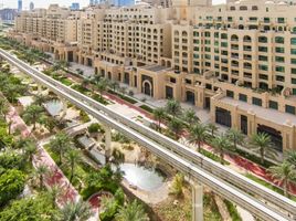 3 Schlafzimmer Appartement zu vermieten im Al Khushkar, Shoreline Apartments, Palm Jumeirah