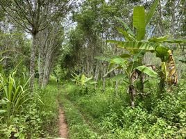  Grundstück zu verkaufen in Thong Pha Phum, Kanchanaburi, Hin Dat