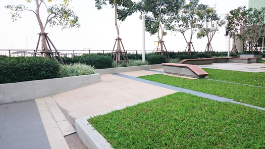 Fotos 1 of the Communal Garden Area at Lumpini Place Srinakarin
