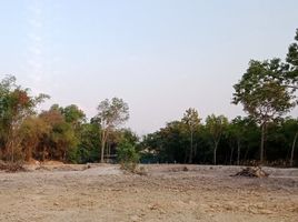  Land for sale in Ubon Ratchathani, Phon Ngam, Det Udom, Ubon Ratchathani