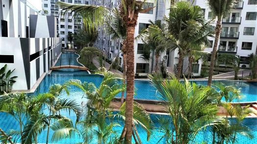 รูปถ่าย 2 of the Communal Pool at อาคาเดีย บีช รีสอร์ท