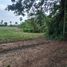  Land for sale in Nakhon Pathom, Thung Noi, Mueang Nakhon Pathom, Nakhon Pathom