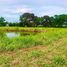  Land for sale in Bang Chalong, Bang Phli, Bang Chalong