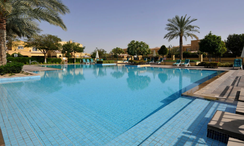 Фото 3 of the Communal Pool at Aseel