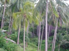  Grundstück zu verkaufen in Koh Samui, Surat Thani, Maret