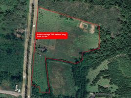  Land for sale in Phangnga, Krasom, Takua Thung, Phangnga