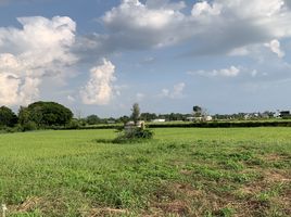  Land for sale in Hidden Village Chiang Mai, San Phisuea, San Phisuea