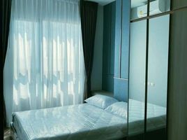 1 Bedroom Condo for rent at Knightsbridge Collage Ramkhamhaeng, Hua Mak, Bang Kapi, Bangkok, Thailand