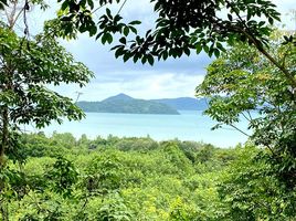  Grundstück zu verkaufen in Thalang, Phuket, Pa Khlok