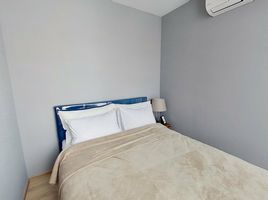 2 Bedroom Condo for rent at Taka Haus, Khlong Tan Nuea