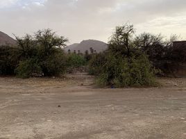  Grundstück zu verkaufen in Tiznit, Souss Massa Draa, Tafraout, Tiznit