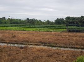  Land for sale in Thawi Watthana, Sai Noi, Thawi Watthana