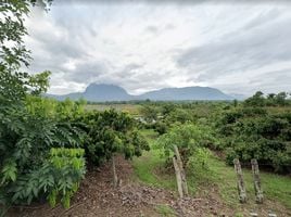  Grundstück zu verkaufen in Chiang Dao, Chiang Mai, Chiang Dao, Chiang Dao