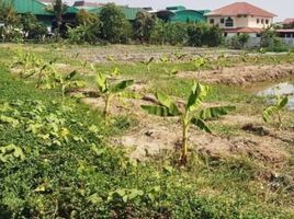  Land for sale in Bang Na, Bang Na, Bang Na