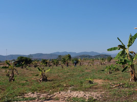  Land for sale in Mae Tam, Phaya Mengrai, Mae Tam