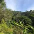  Grundstück zu verkaufen in Kathu, Phuket, Kathu, Kathu