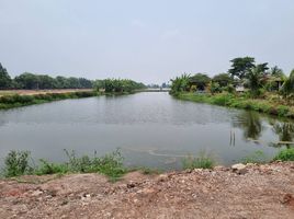  Grundstück zu verkaufen in Nong Suea, Pathum Thani, Bueng Cham O