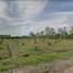  Land for sale in Nakhon Si Thammarat, Sai Khao, Hua Sai, Nakhon Si Thammarat