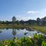 ขายที่ดิน ใน หนองเรือ ขอนแก่น, จระเข้