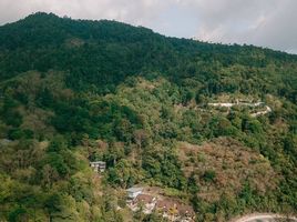  Land for sale in Phuket, Patong, Kathu, Phuket