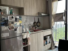 1 Schlafzimmer Appartement zu vermieten im IKON Sukhumvit 77, Suan Luang, Suan Luang